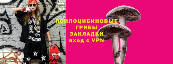 спиды Пестово