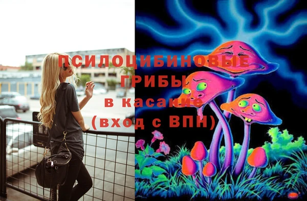 ПСИЛОЦИБИНОВЫЕ ГРИБЫ Волоколамск