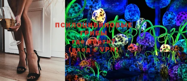 ПСИЛОЦИБИНОВЫЕ ГРИБЫ Волоколамск