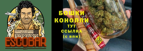 хмурый Вяземский