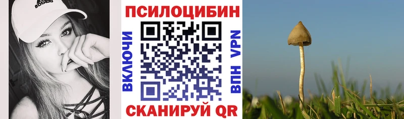 Галлюциногенные грибы мицелий  Дальнегорск 